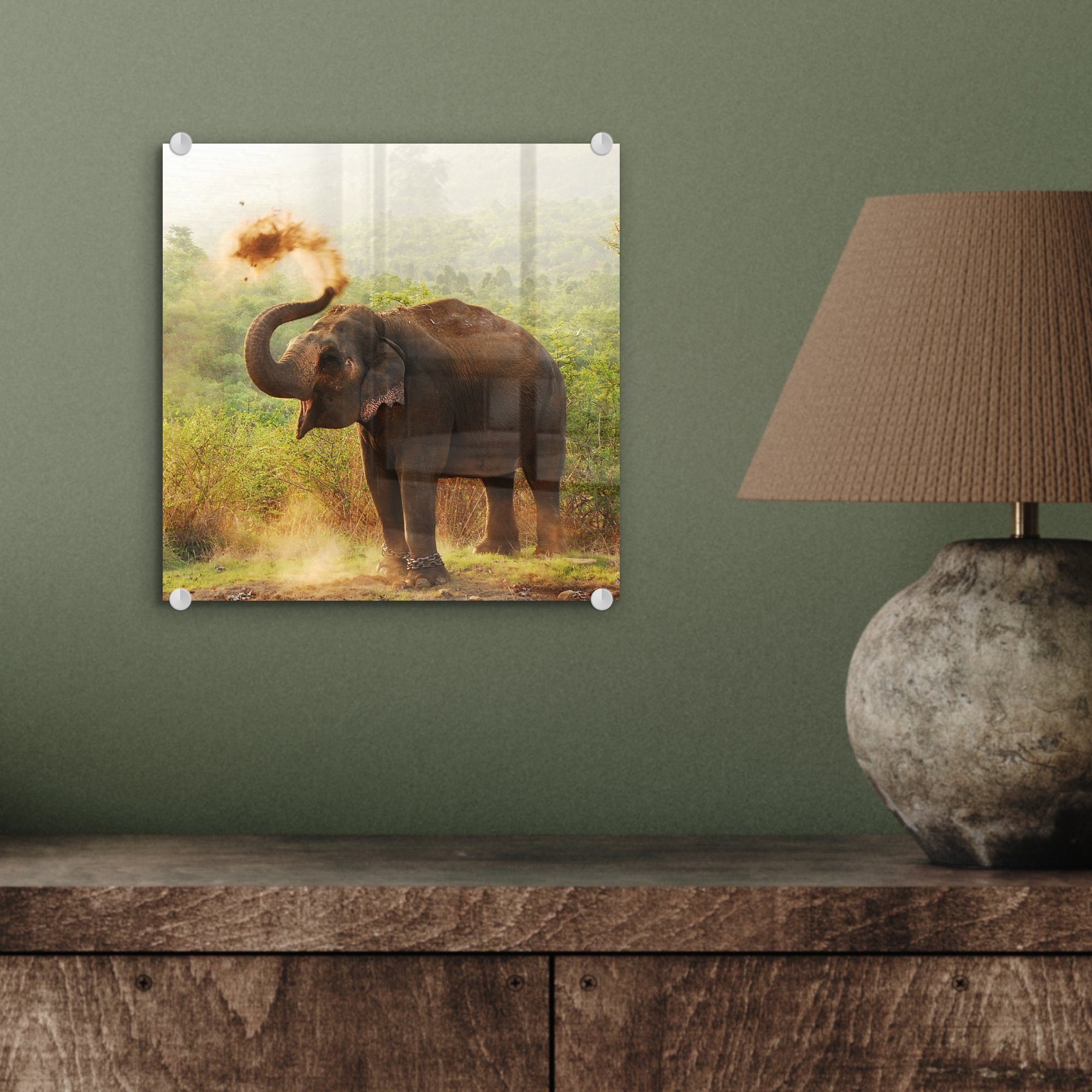 MuchoWow Acrylglasbild Elefant - - Foto - - - Bilder Wald Glas Wanddekoration auf - (1 auf Glas St), Bäume, Wandbild Tiere Glasbilder