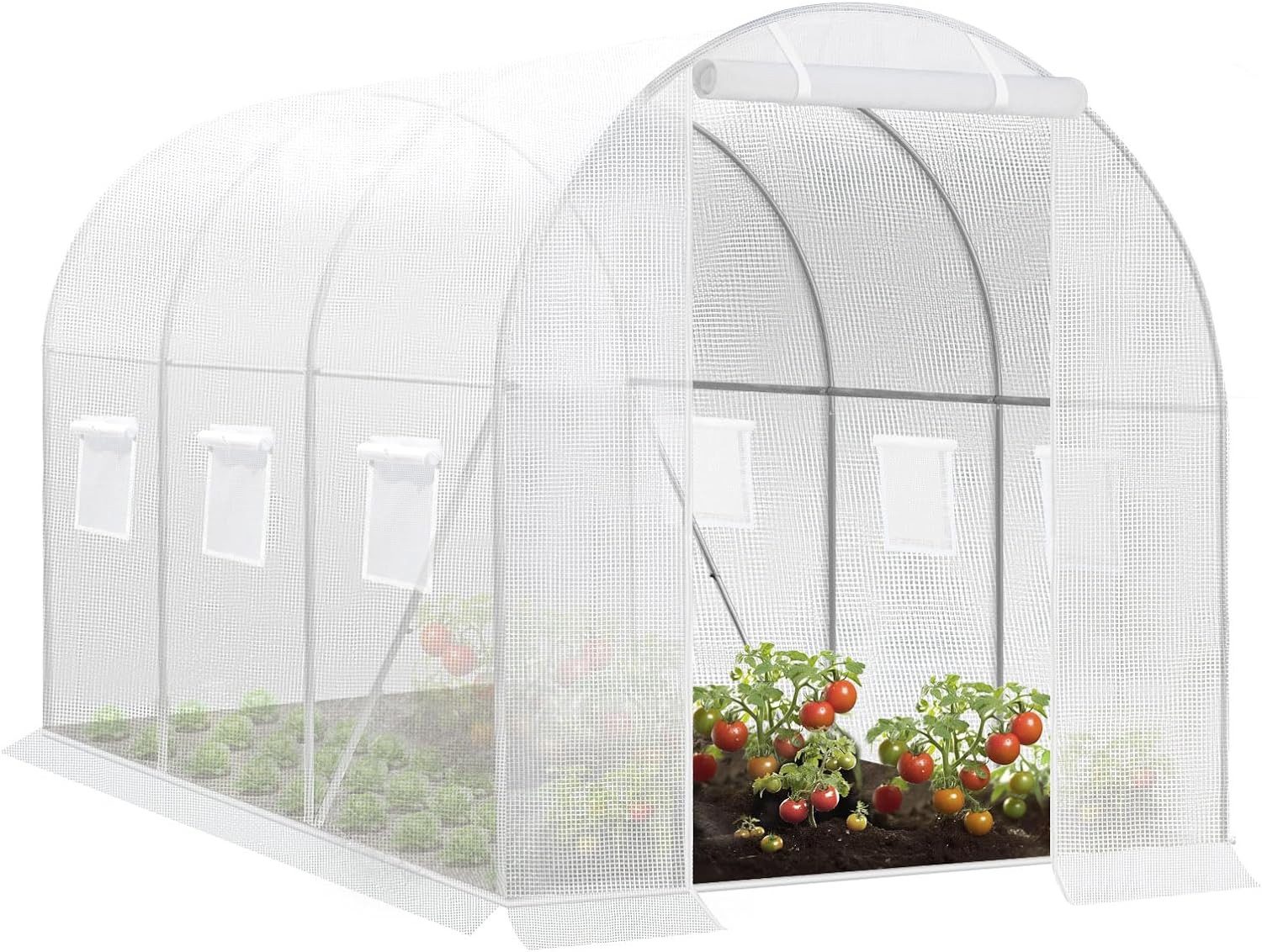 Woltu Tomatengewächshaus, BxTxH: 200 x 300 x 200,00 cm, Folientunnel für Au günstig online kaufen