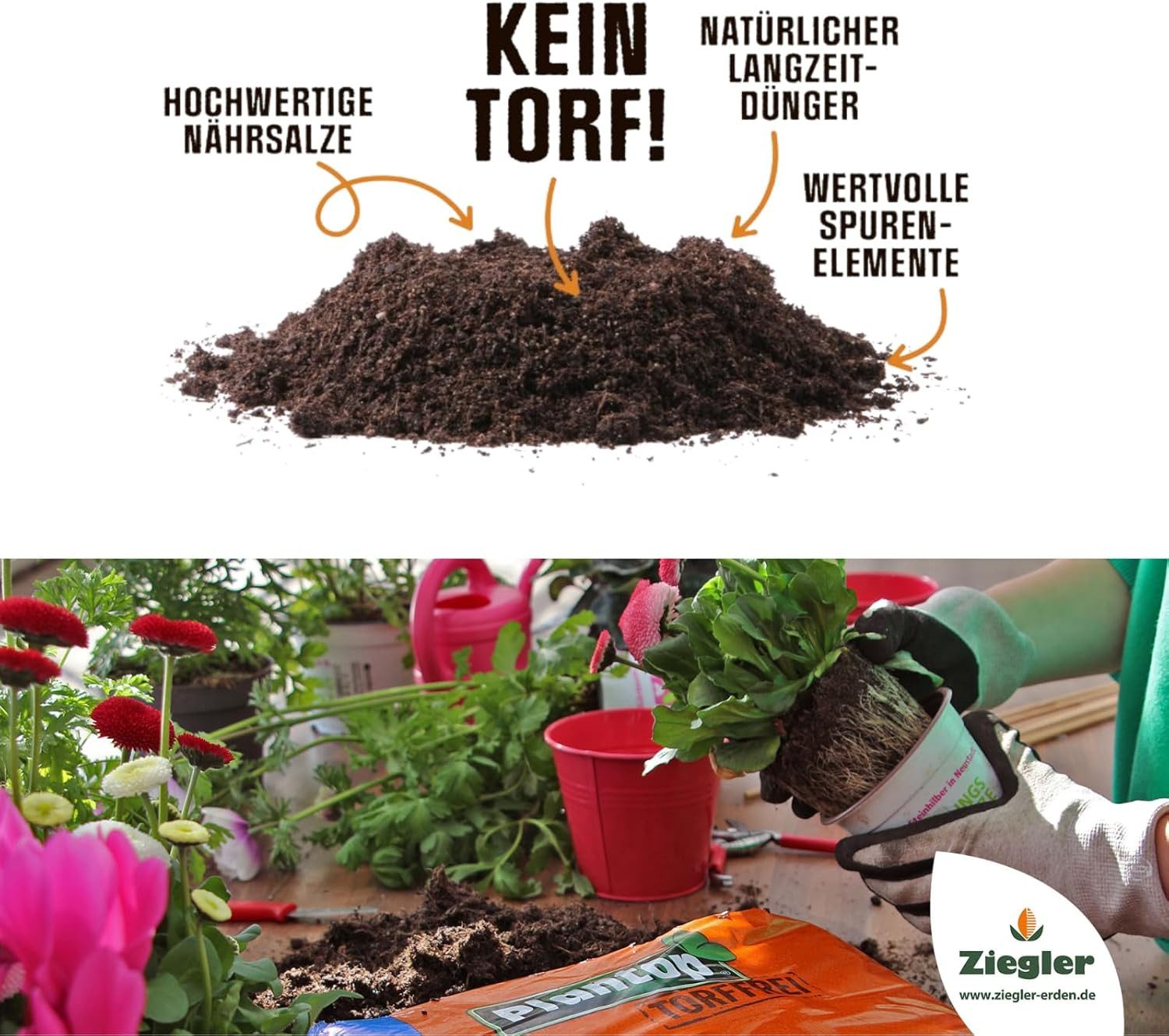Plantop Blumenerde Plantop Pflanzerde torffrei 60 L
