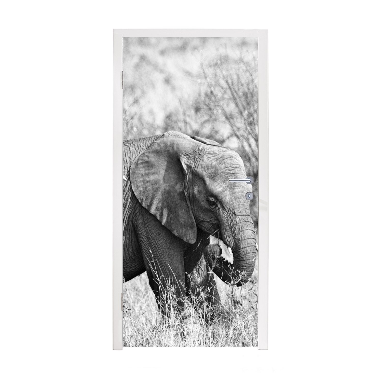 MuchoWow Türtapete Elefant - Tiere - Gras - Schwarz und weiß, Matt, bedruckt, (1 St), Fototapete für Tür, Türaufkleber, 75x205 cm