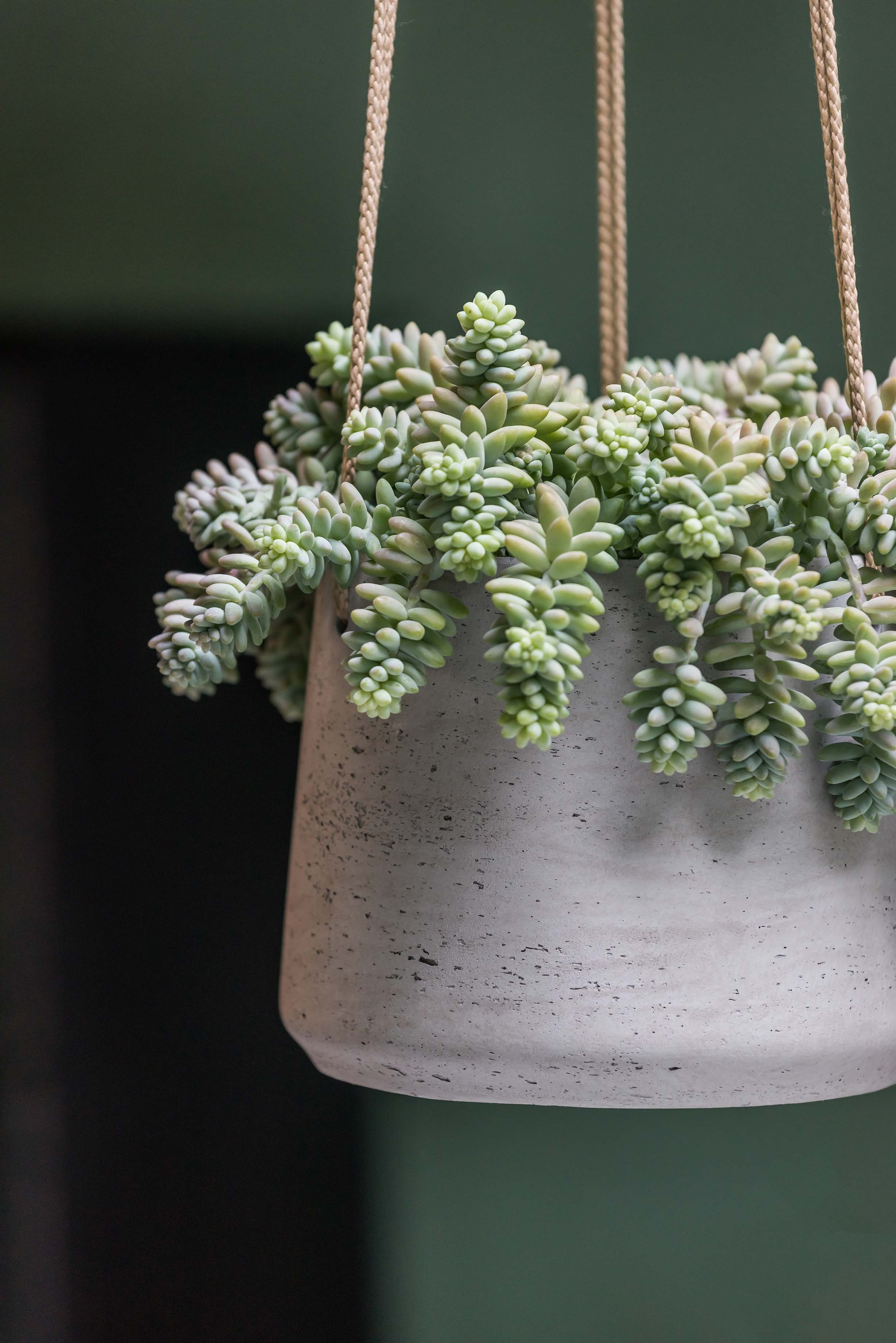 finestgreen Blumenampel Handgefertigte Blumenampel Hanging Patt günstig online kaufen