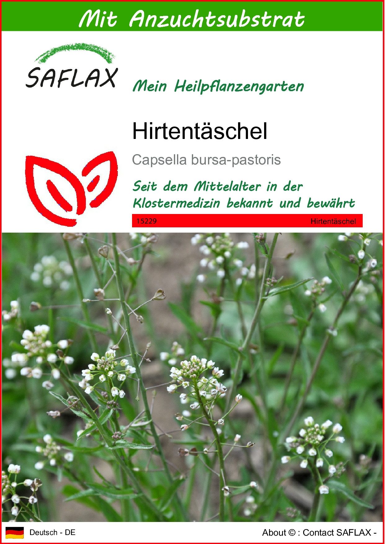Blumensamen SAFLAX - Samen und Substrat - Hirtentäschel