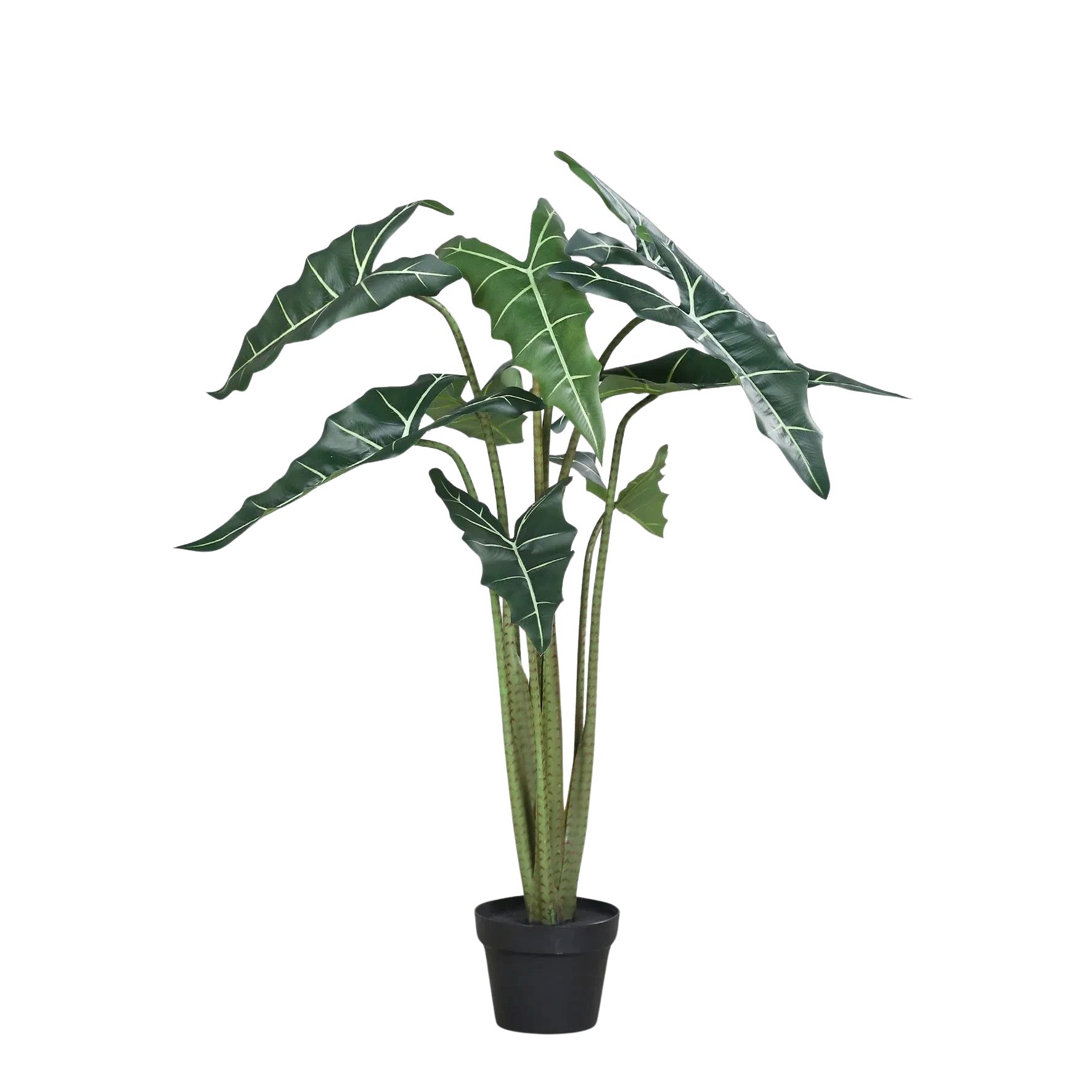 Kunstpflanze Künstliche Alocasia - Marco, 100 cm, aplanta