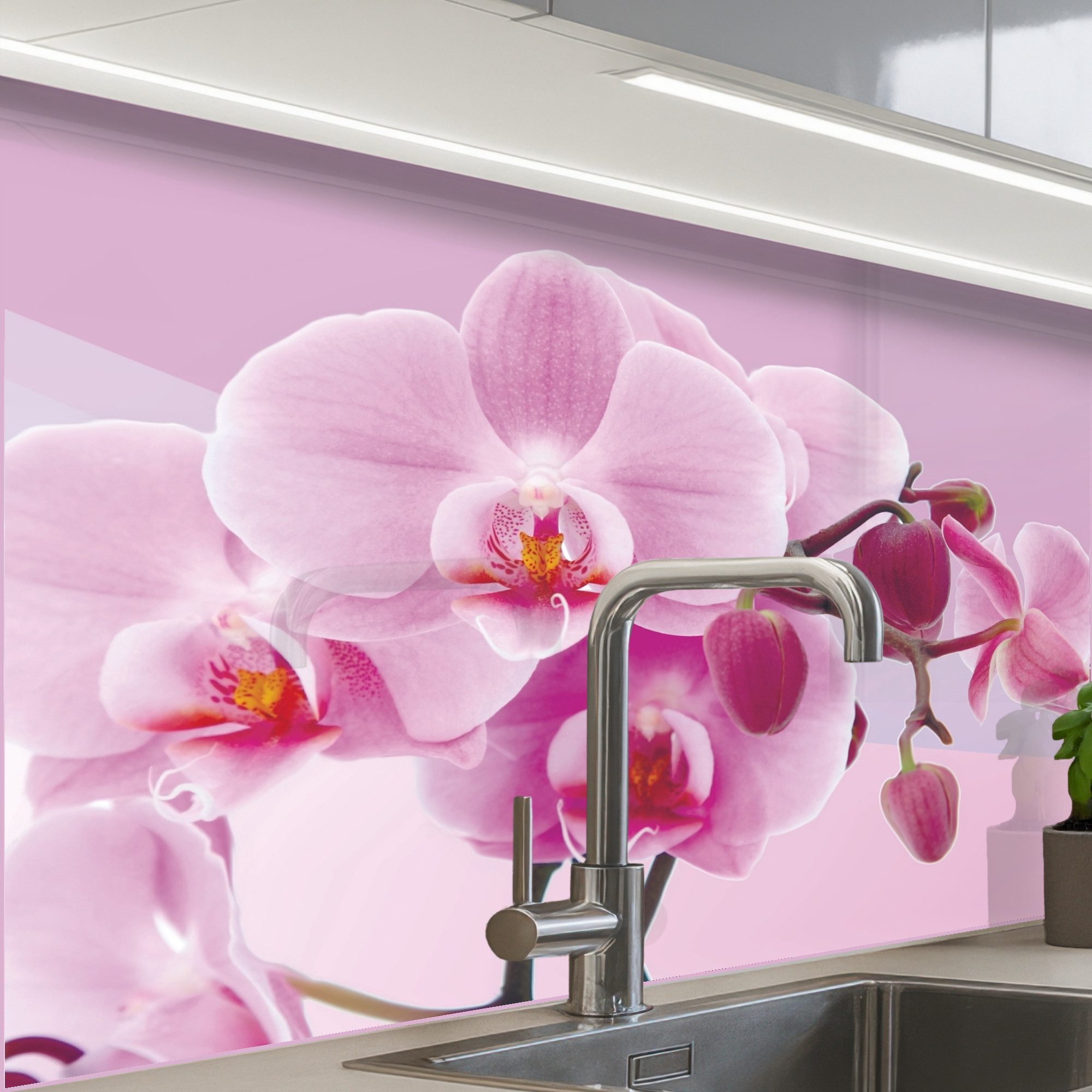 KitchenYeah Küchenrückwand selbstklebend Blumen - Orchidee - Rosa, (1-tlg), Spritzschutz, Küche, Rückwand, Küchenwand, Küchenfront, 80x60 cm