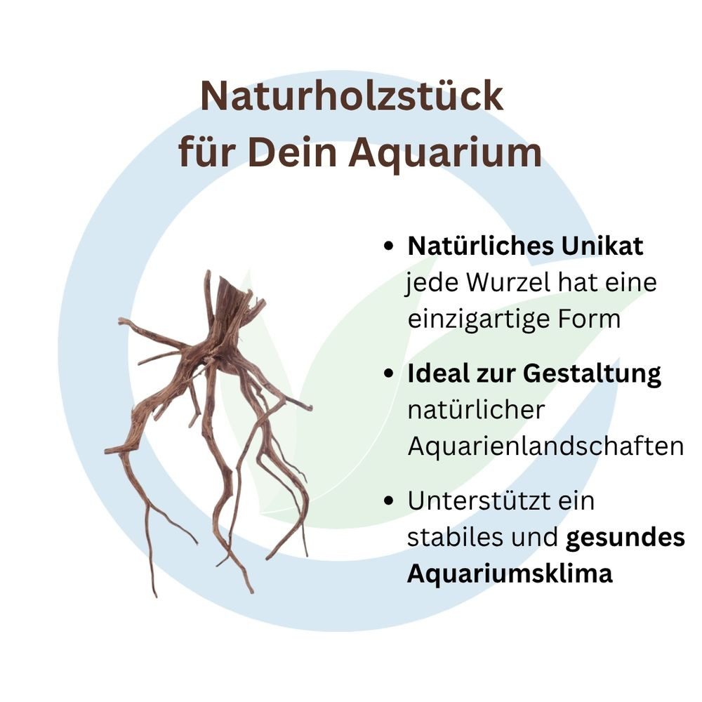 Aquaone Aquarium Red Spider Wurzel M 15-20 cm