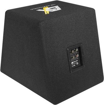 ESX DBP208Q Basspack Monoblock BassreSubwoofer Gehäuse + Kabel Auto-Subwoofer