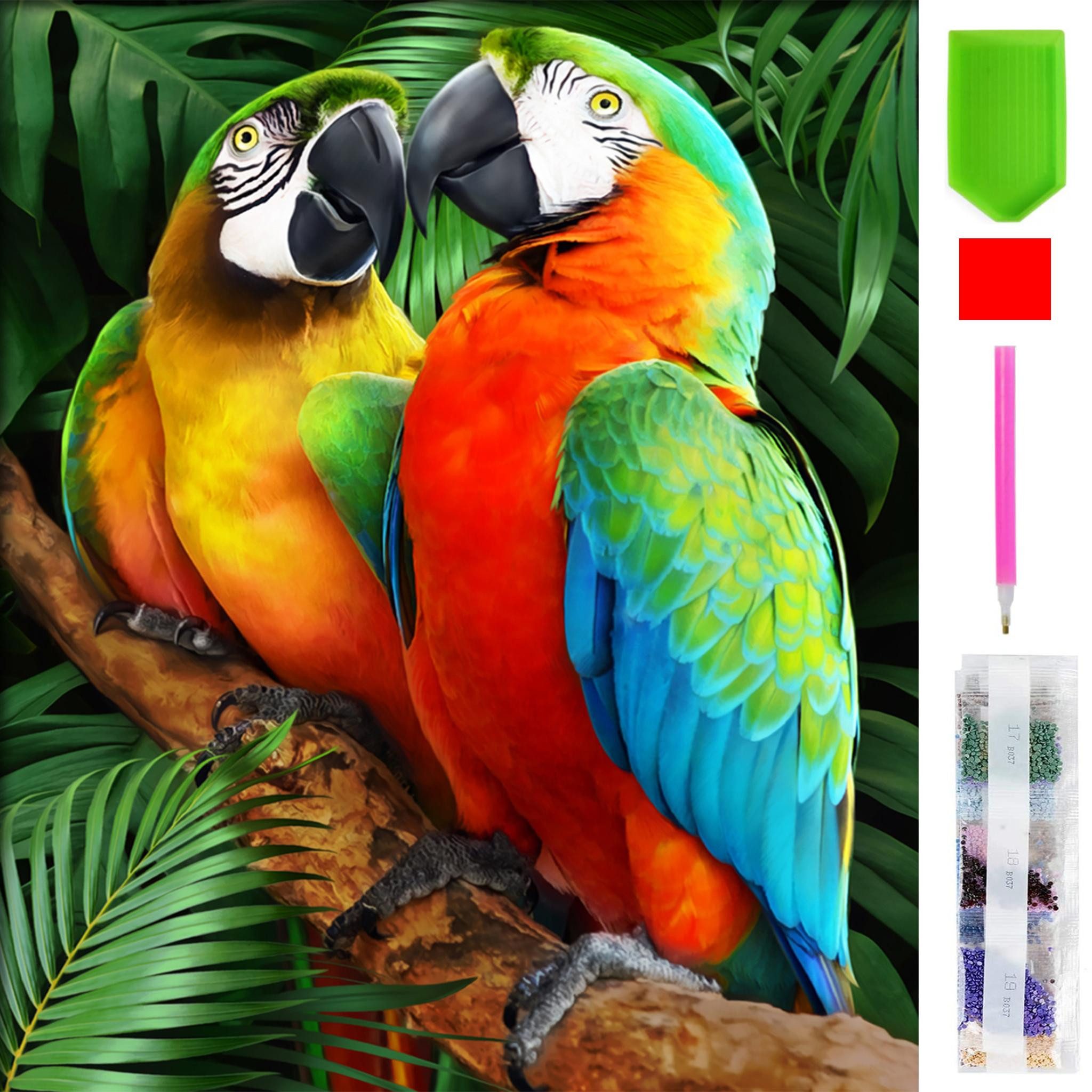 Malen nach Zahlen 5d Diamond Painting Papagei Vogel Malen nach Zahlen 15x20cm