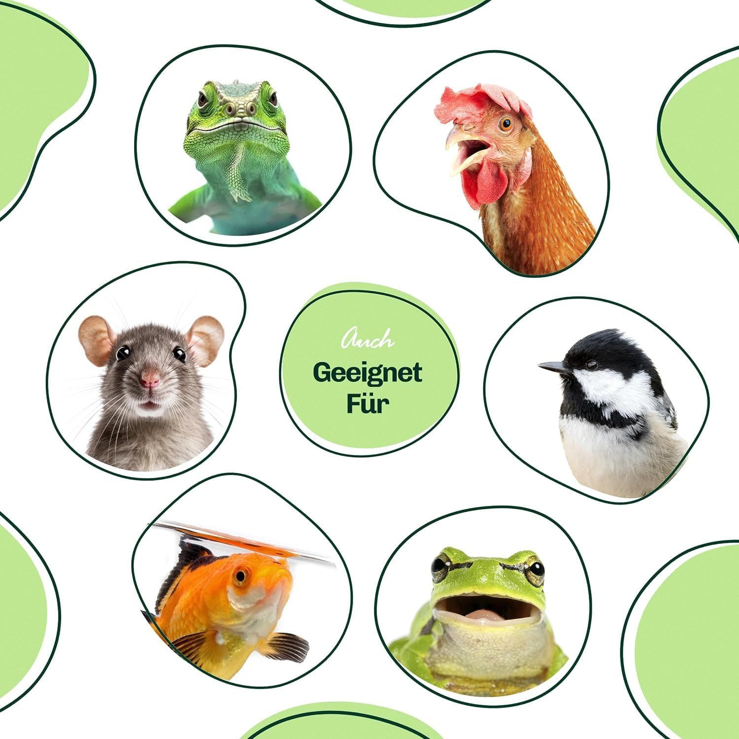 Blumixx Getrocknete Mehlwürmer, Trockenfutter für: Vogel, Reptilien, Fische, Wildvogel, Nager, Igel