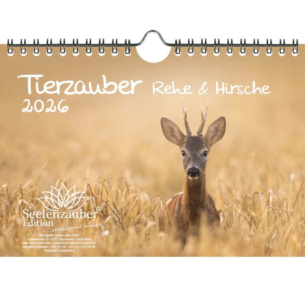 Seelenzauber Wandkalender Tierzauber Rehe & Hirsche DIN A5 Kalender für 2026 - Seelenzauber