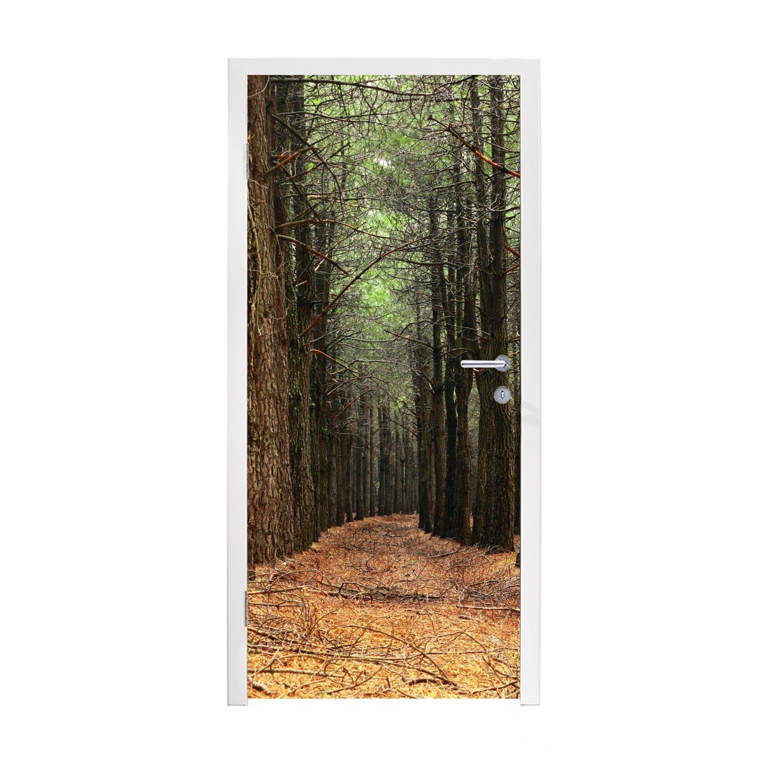 Tür, cm Fototapete Türtapete Wald, St), (1 Matt, für 75x205 Dekoration Herbst MuchoWow - Türaufkleber, bedruckt, -
