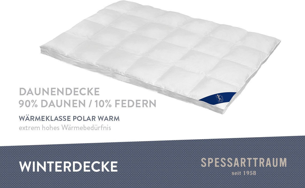 SPESSARTTRAUM Daunenbettdecke First Class, Füllung: 90% günstig online kaufen