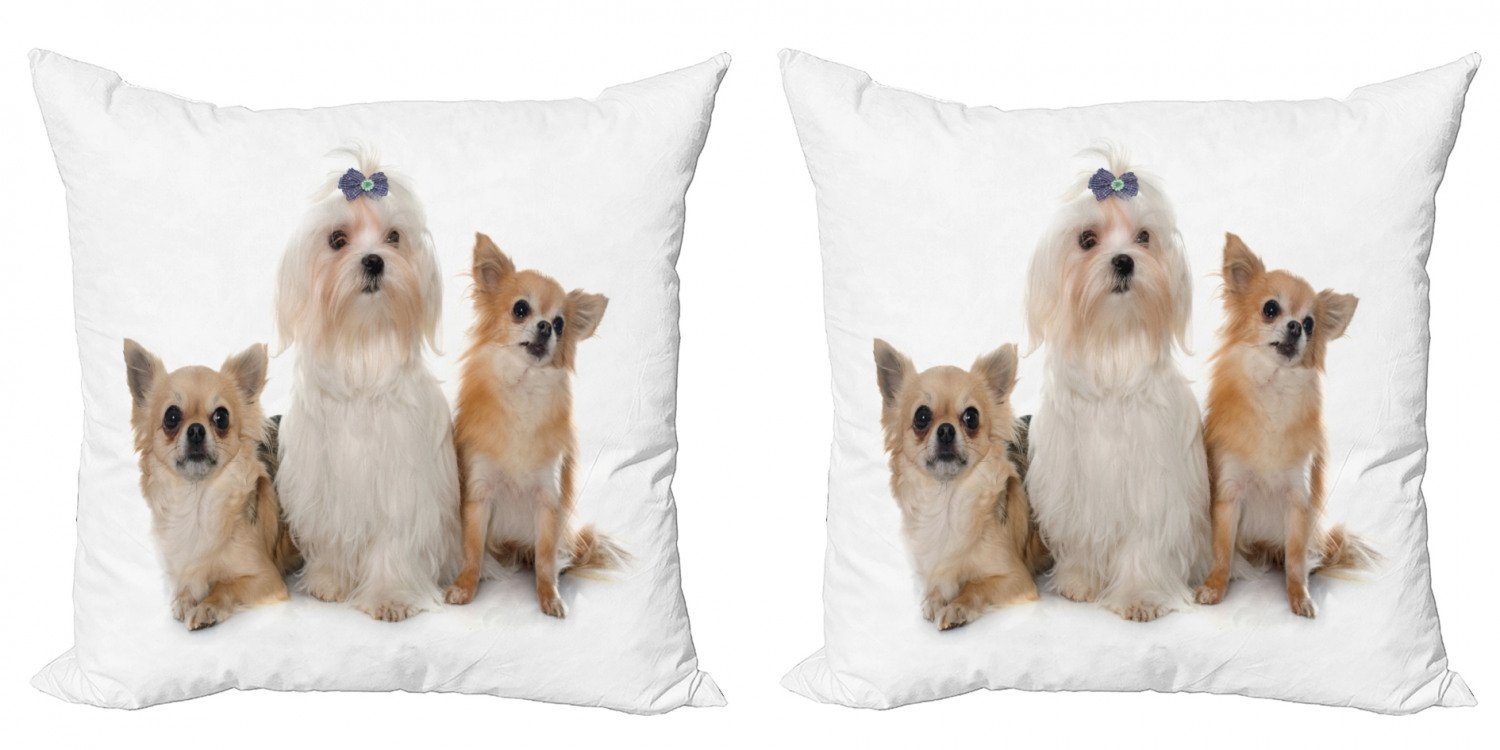Digitaldruck, Hunde und Abakuhaus Doppelseitiger Kissenbezüge Maltesisch Chihuahua (2 Accent Hündchen Modern Stück),
