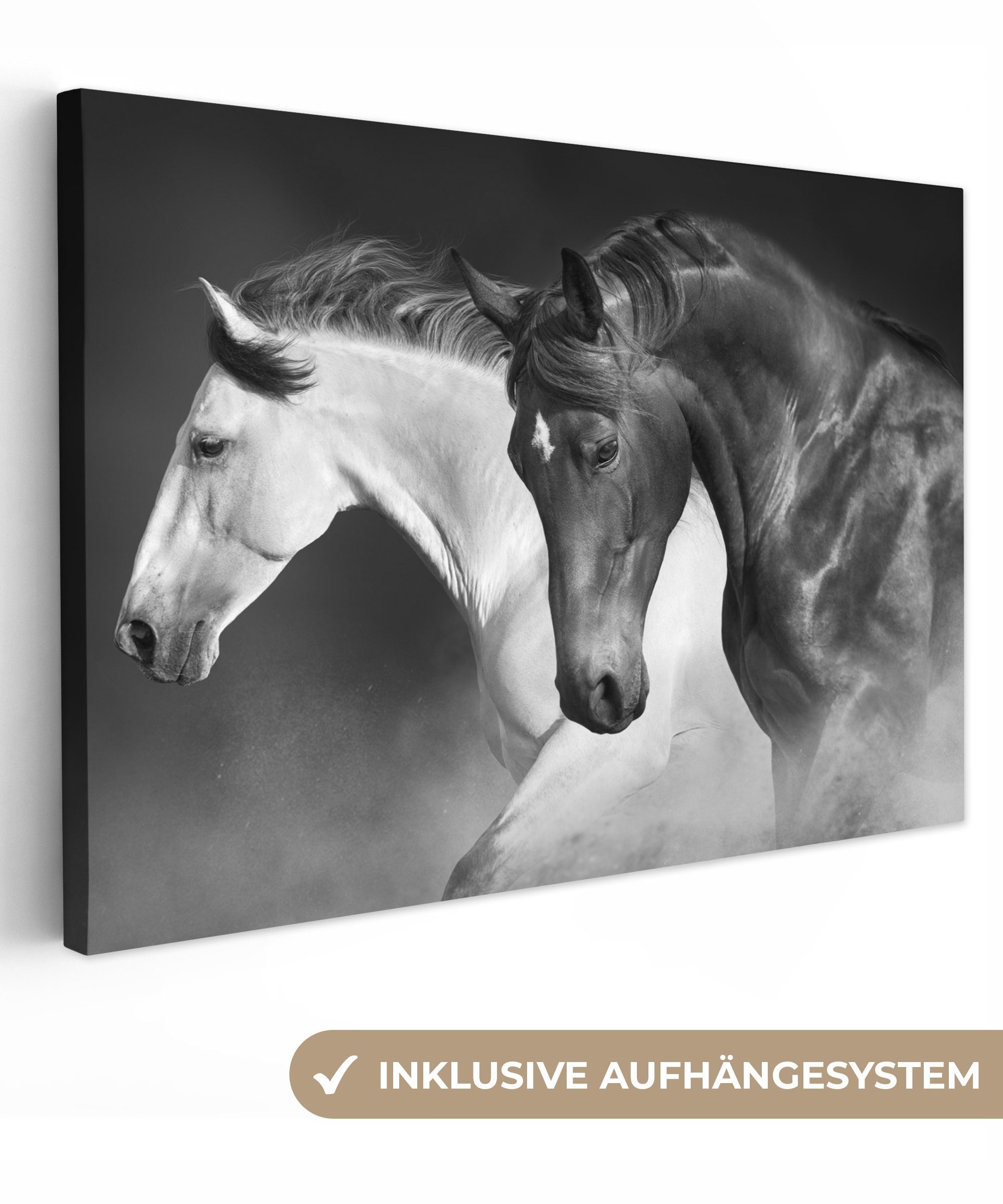 OneMillionCanvasses® Leinwandbild Pferde - Tiere - günstig online kaufen