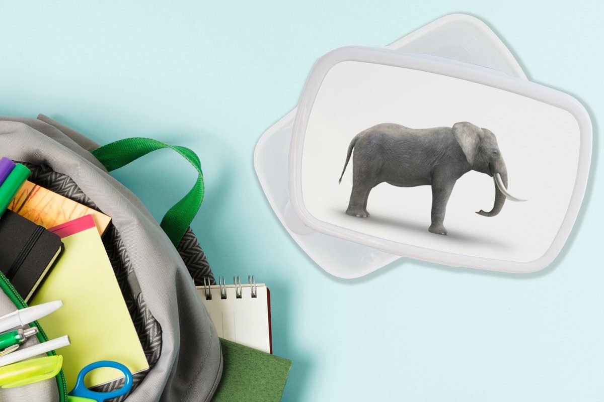 MuchoWow Lunchbox Elefant auf weißem für Jungs Brotdose, Kunststoff, Brotbox (2-tlg), für Kinder Mädchen Erwachsene, und Hintergrund, und