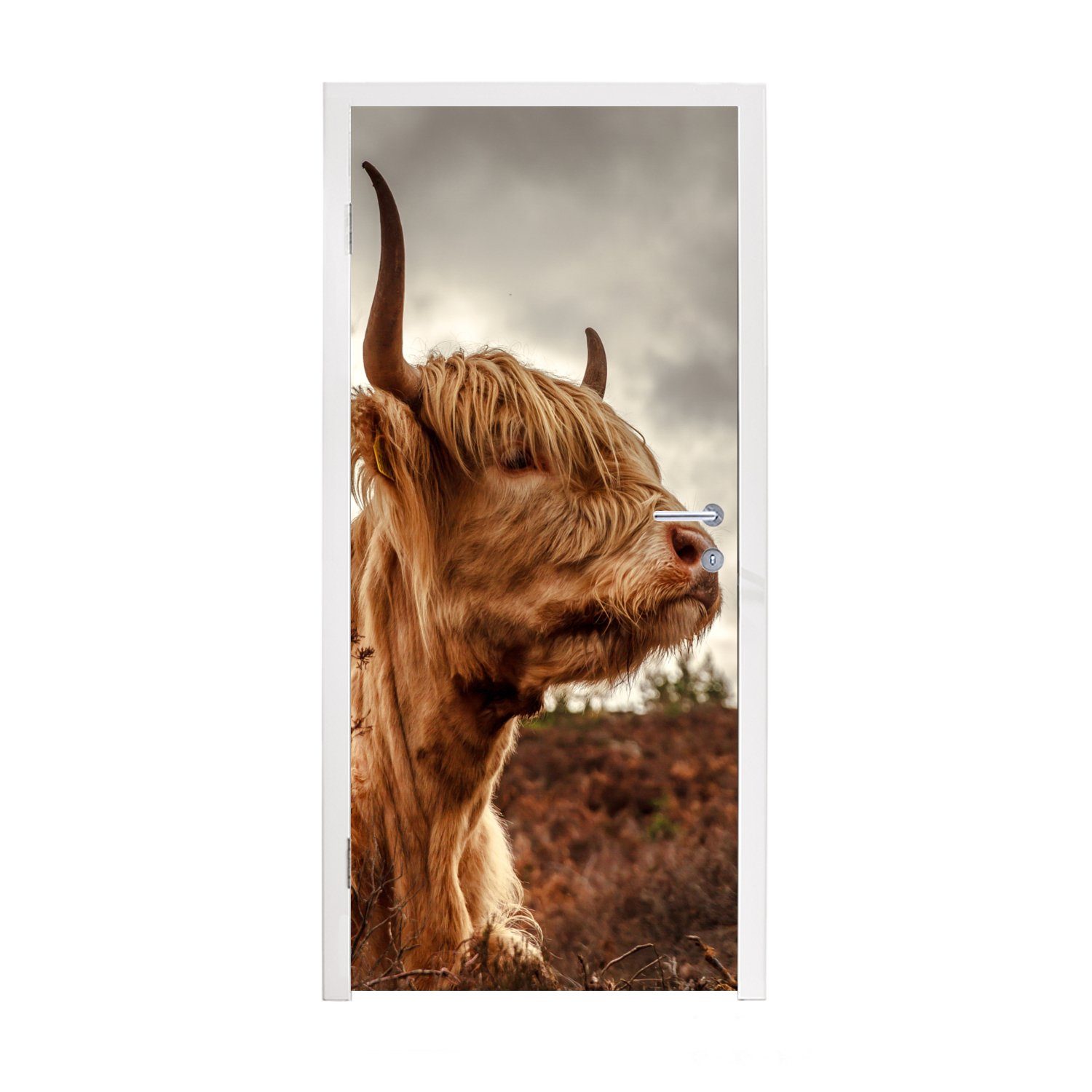MuchoWow Türtapete Scottish Highlander - Strauch - Heidekraut, Matt, bedruckt, (1 St), Fototapete für Tür, Türaufkleber, 75x205 cm