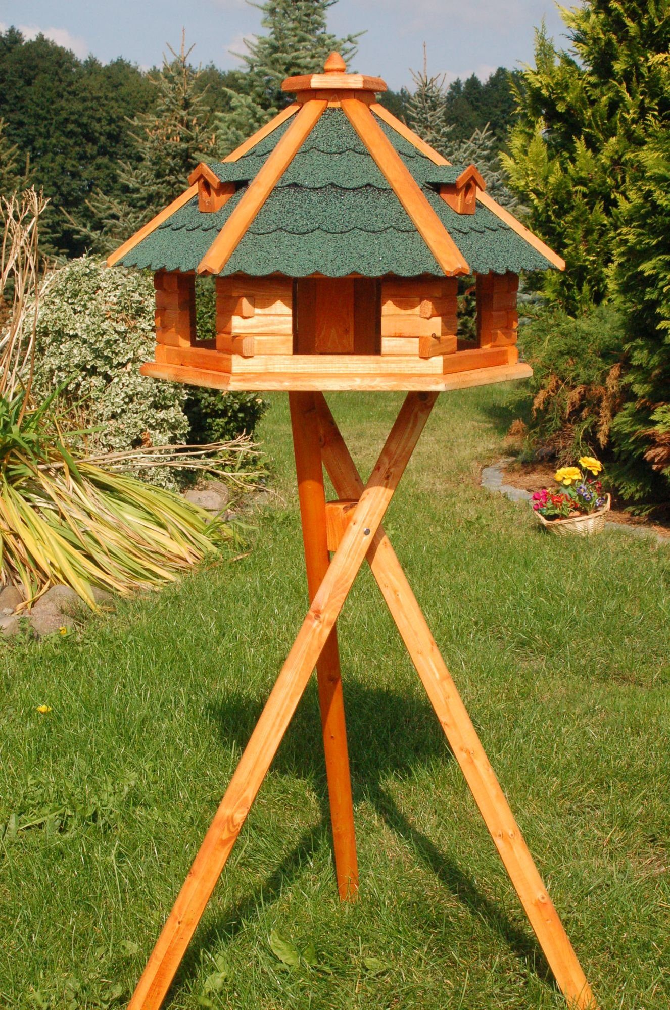 60+ Vogelhaus Auf Englisch, Learn the translation for ‘vogelhaus’