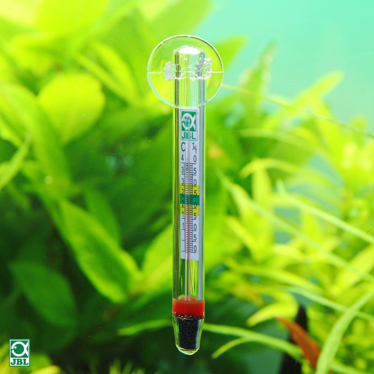 JBL GmbH & Co. KG Aquarienthermometer Aquarien-Thermometer