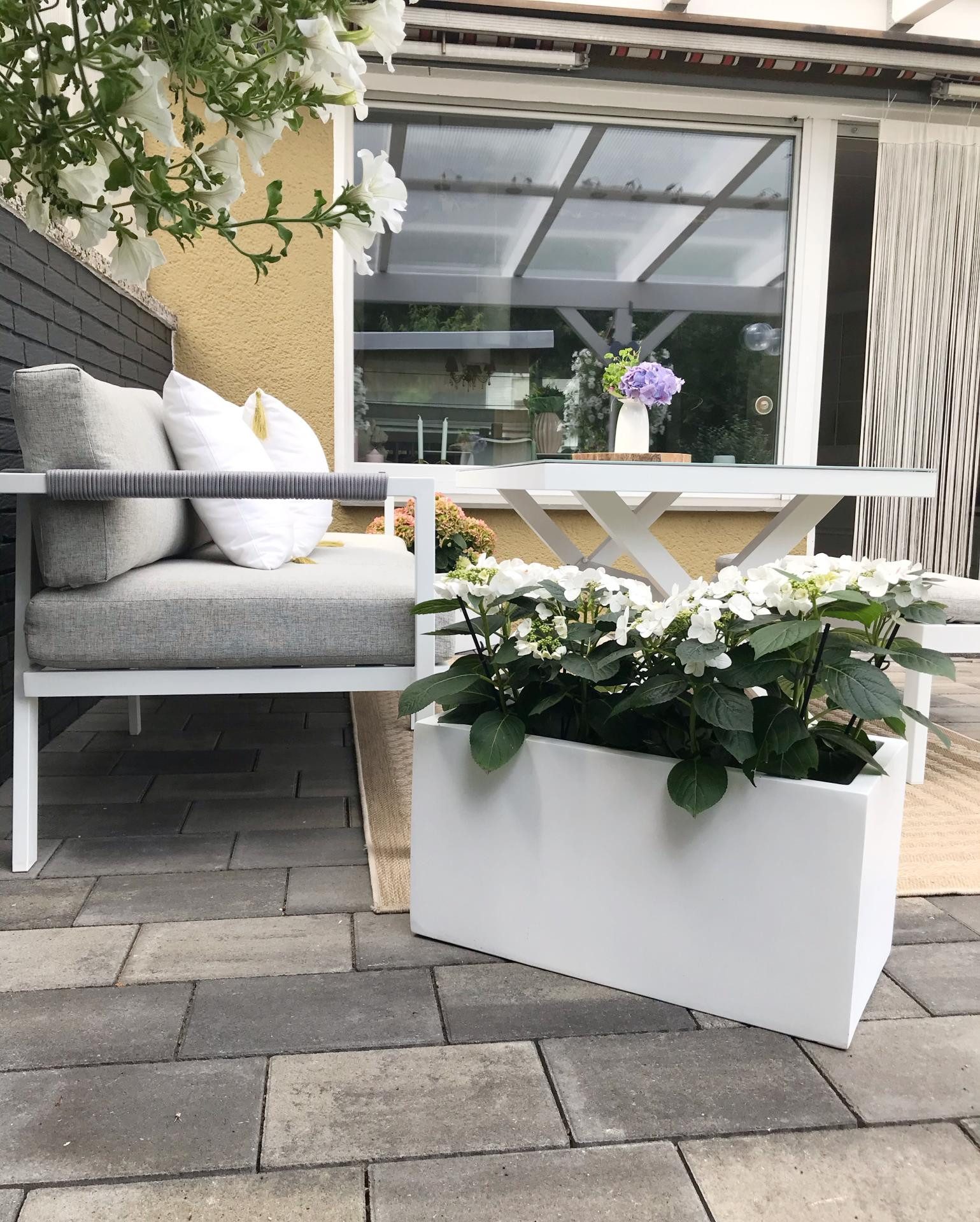 VIVANNO Pflanzkübel Fiberglas MAXI Kasten - günstig online kaufen
