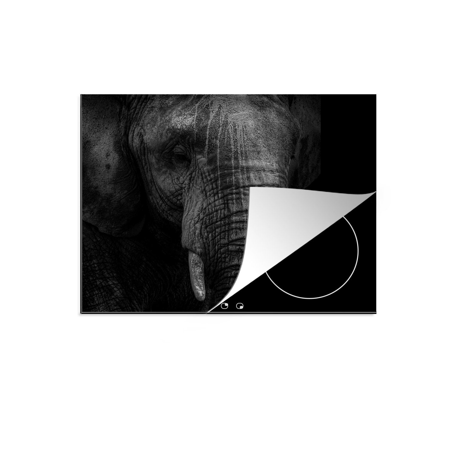 MuchoWow Herdblende-/Abdeckplatte Elefant - küche, Tier (1 Vinyl, Schwarz, tlg), cm, für 59x52 die - Ceranfeldabdeckung Induktionsmatte