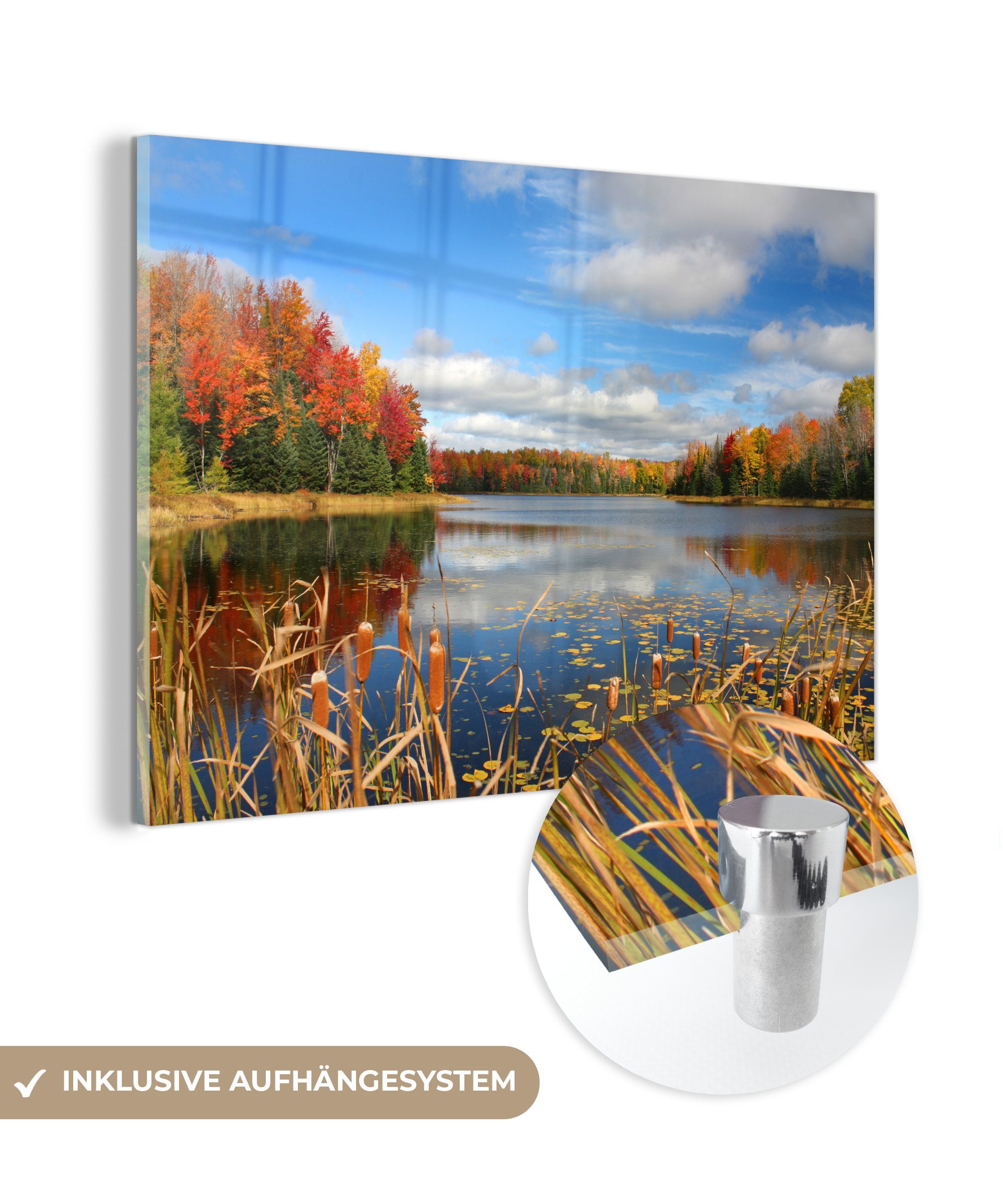 Acrylglasbilder in & Acrylglasbild MuchoWow Schlafzimmer Wohnzimmer Wisconsin, Herbst (1 St),