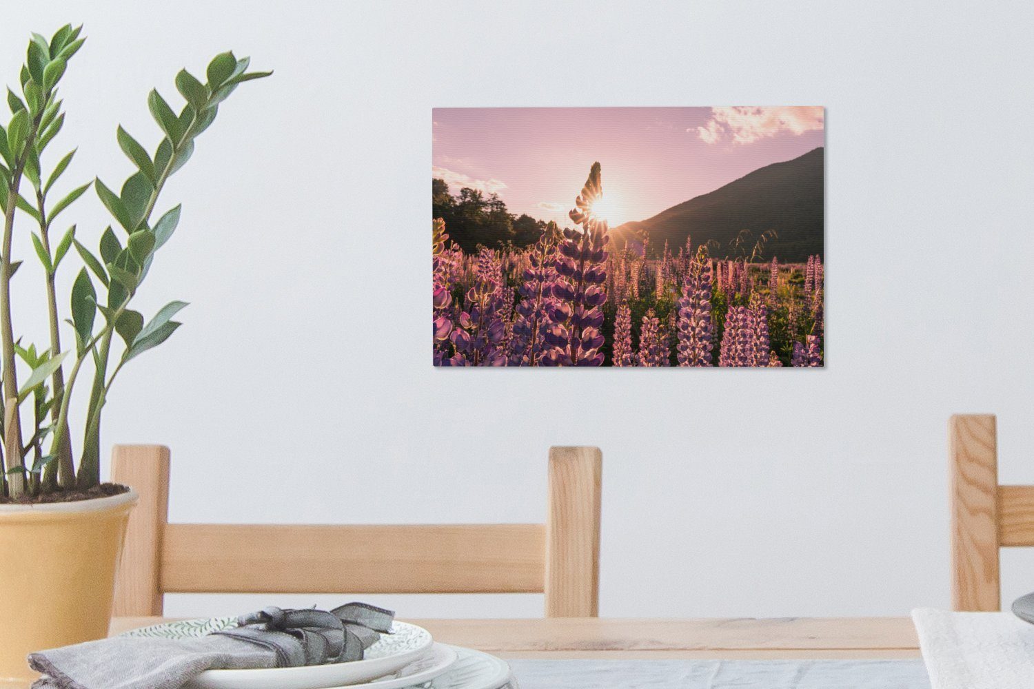 OneMillionCanvasses® Leinwandbild Aufhängefertig, in St), Wandbild im 30x20 cm (1 Lupine Wilde Leinwandbilder, Ozeanien, Fiordland-Nationalpark Wanddeko