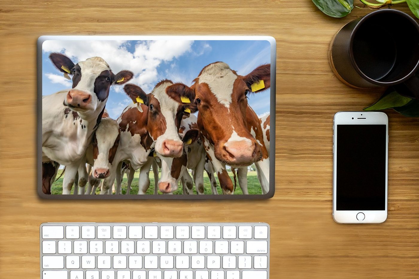 Thumbnail - MuchoWow Laptop-Aufkleber Kühe - Tiere - Wiese - Natur
