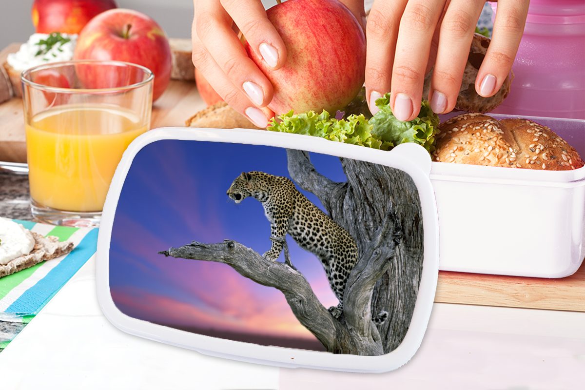 für und MuchoWow Kinder für Mädchen Brotbox Zweig, - Jungs - Leopard (2-tlg), weiß Baum Erwachsene, Brotdose, Lunchbox und Kunststoff,