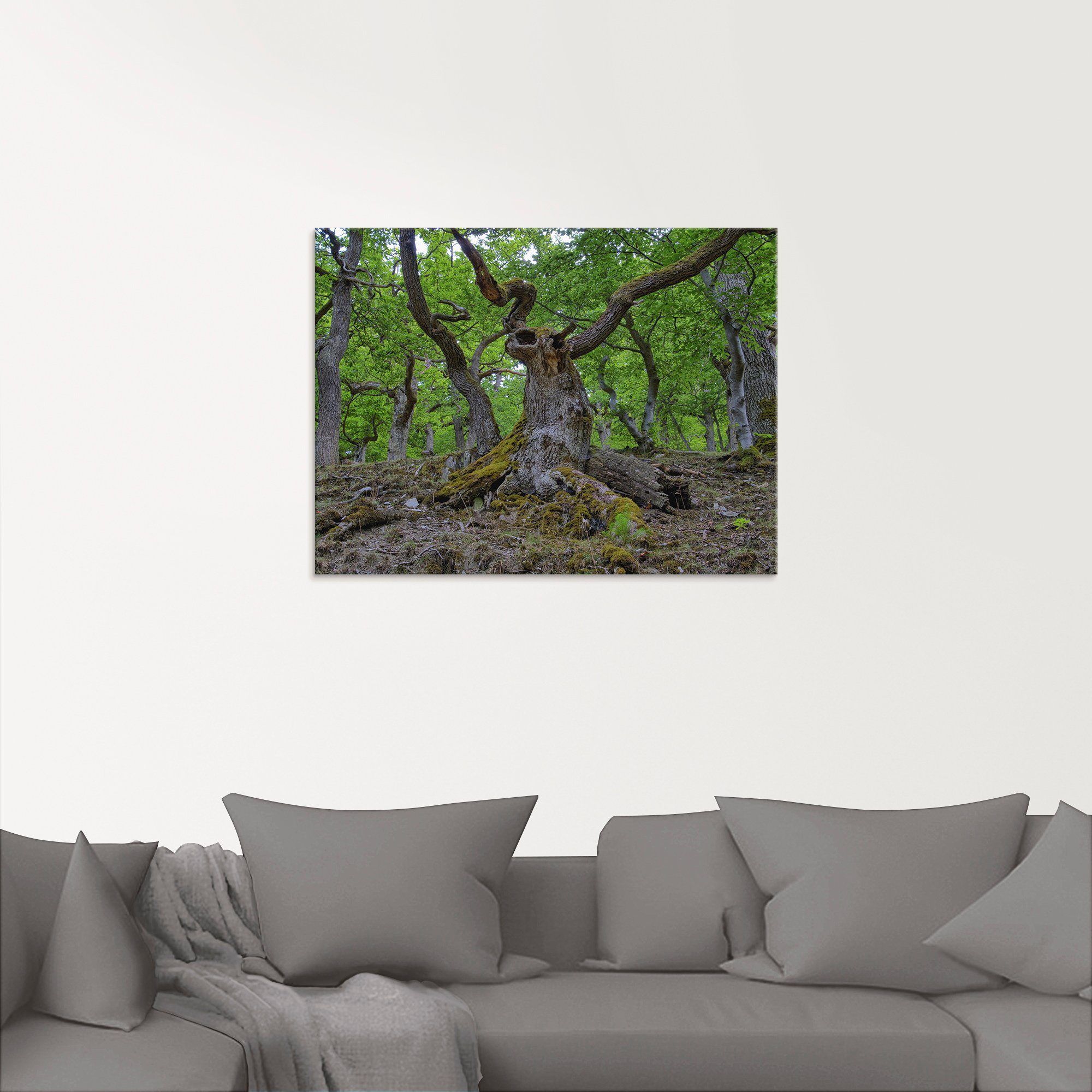 Artland Glasbild »Eichen wie ein Märchenwald«, Wald (1 Stück)-kaufen