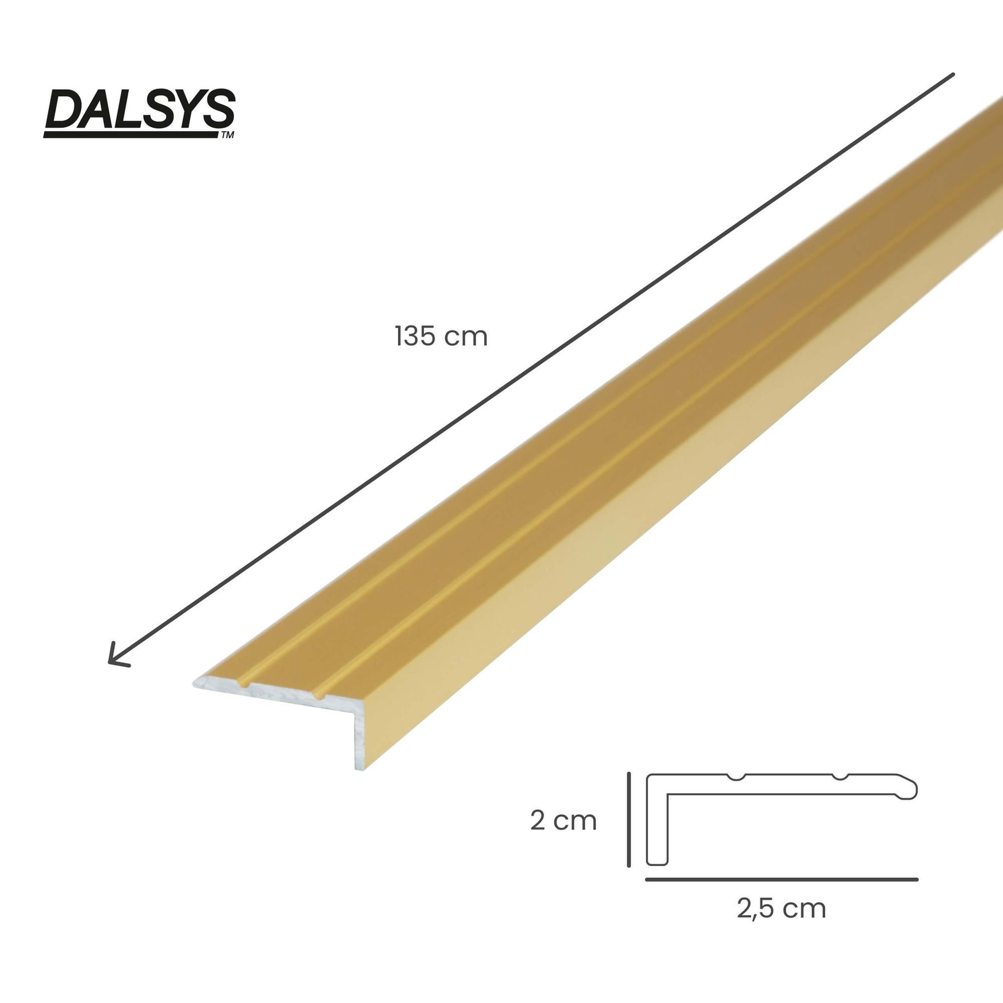 Dalsys Treppenkantenprofil (Aluminium, 1-St), Winkelprofil aus günstig online kaufen