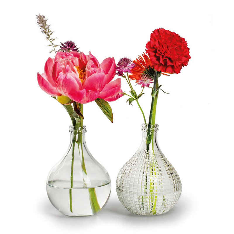 Annastore Dekovase 6 x Vasen aus Glas - Glasvasen - Tischvasen - Blumenvasen