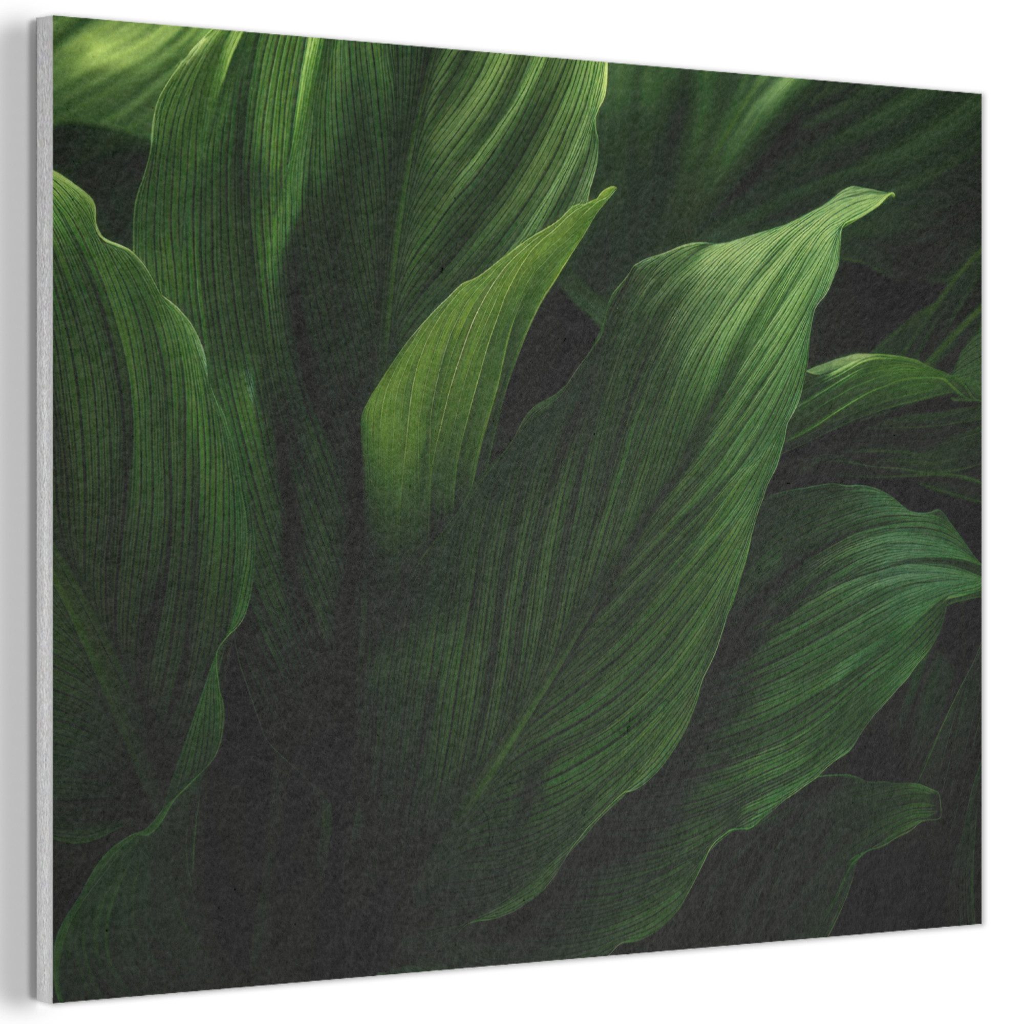 MuchoWow Gemälde Blätter - Schatten - Grün - Textur, Fotodruck (1 St), Akustikpaneele PET-Filz, Akustikbild, Schalldämmung, Deko 40x30 cm