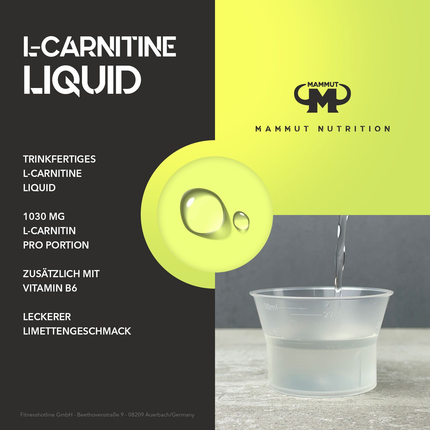 Mammut Nutrition L-Carnitine Liquid - Limette - 500 ml Flasche Flüssigkeit