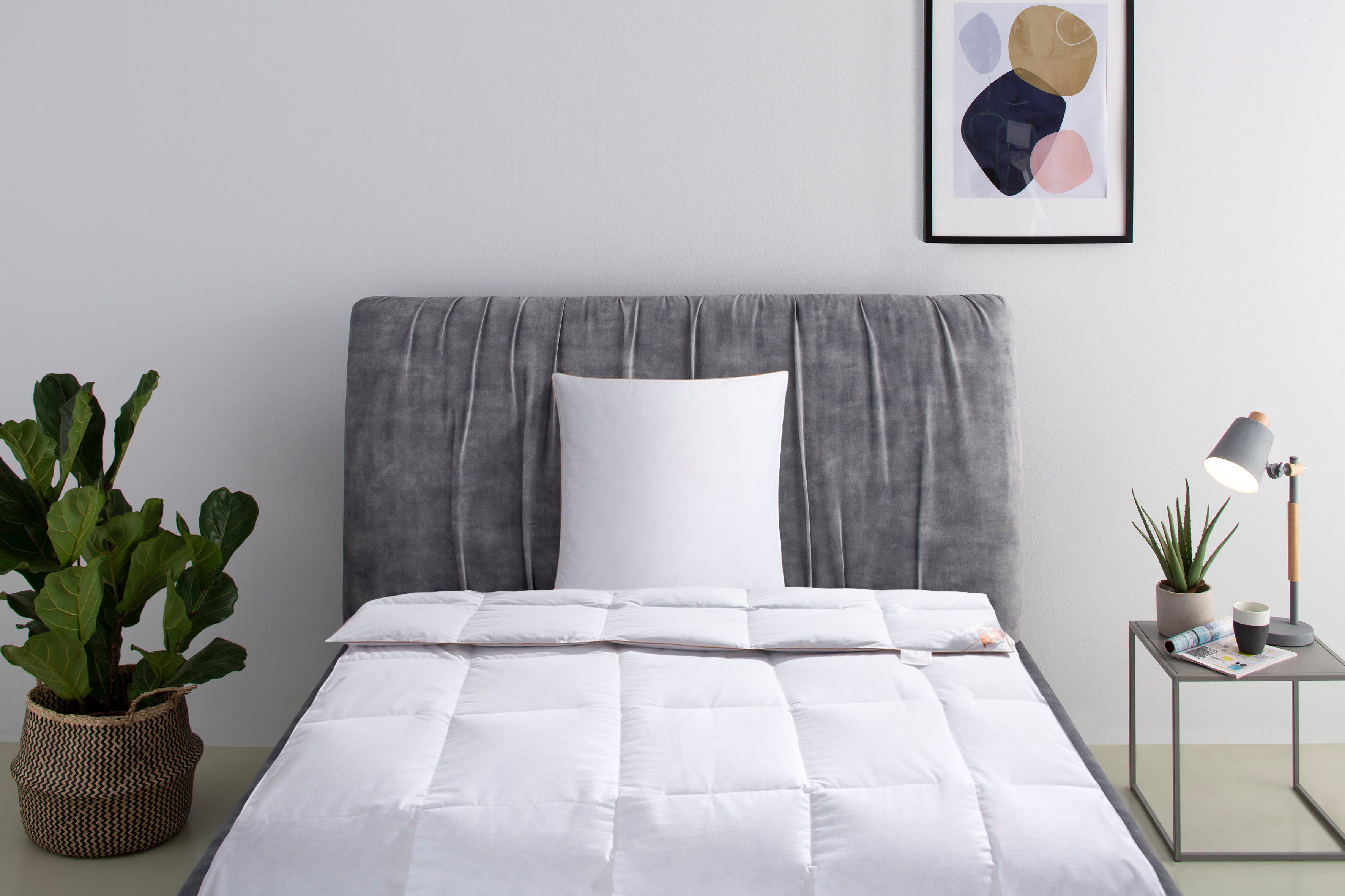 RIBECO Daunenbettdecke + Kopfkissen Richard, Bettwaren-Set in 135x200 oder 155x220 cm, Sommer oder Winter, Füllung: Daunen & Federn, Seit 105 Jahren überzeugt RIBECO durch Qualität