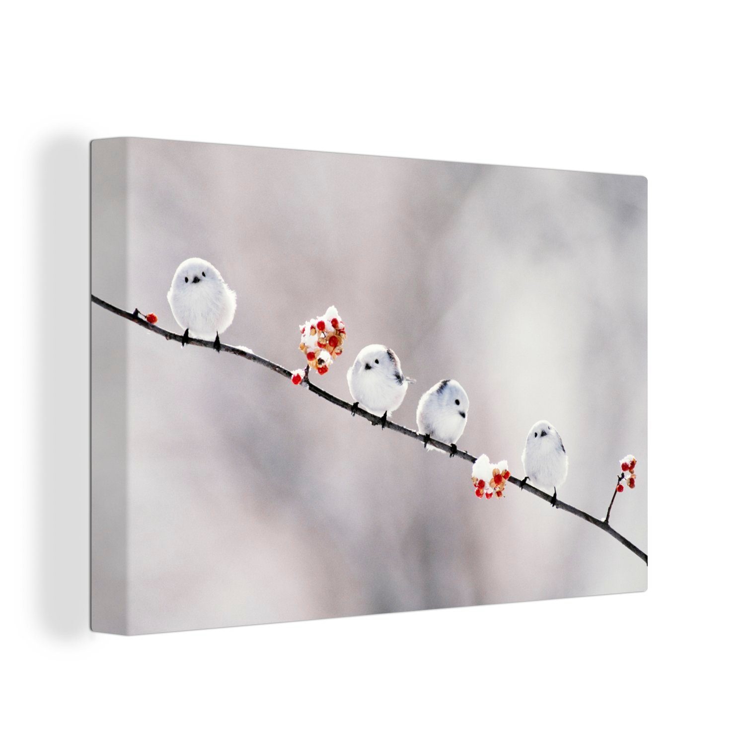 Leinwandbild Vogel - Zweige - Weiß