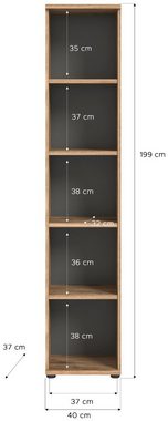 xonox.home Mehrzweckschrank Regal Büroregal MASON 200x40 cm in Nox Eiche und Basalt grau