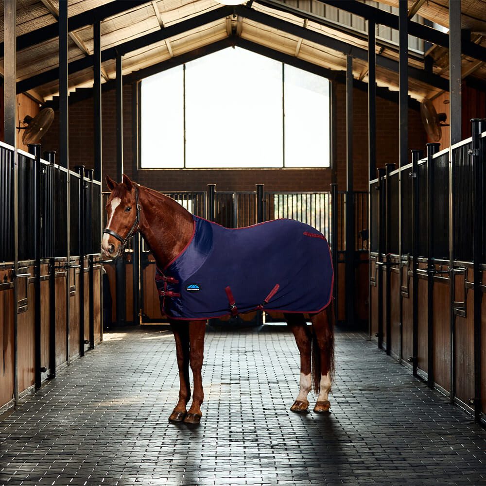WeatherBeeta Pferde-Abschwitzdecke Weatherbeeta Anti-Static Fleece Cooler Standard Neck