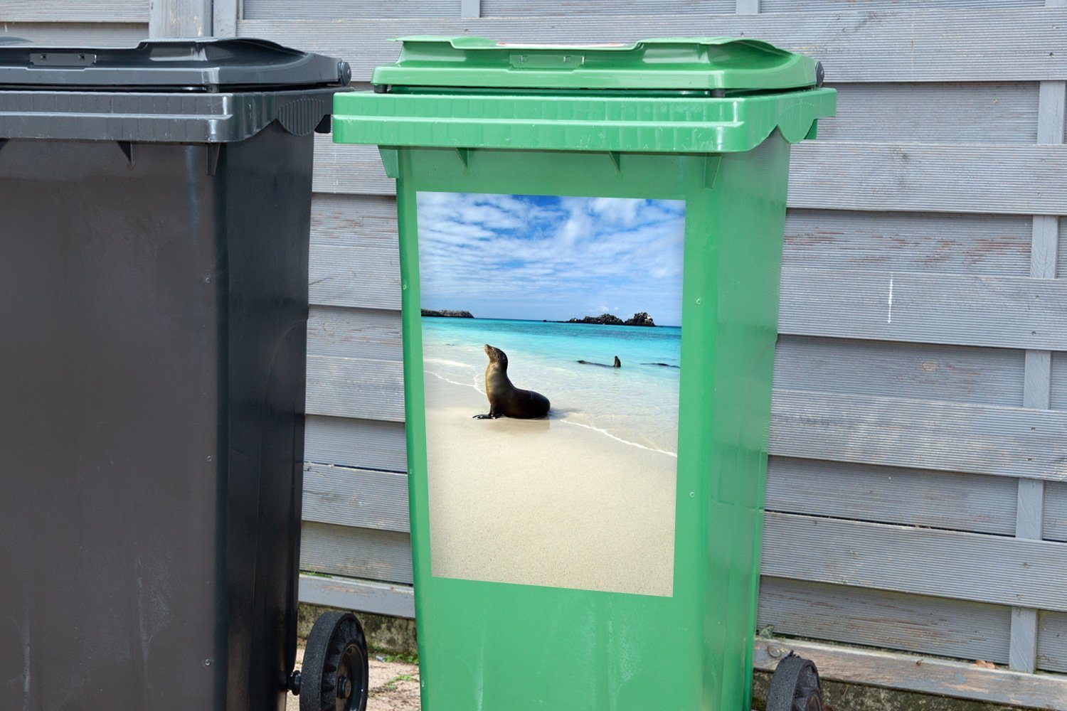 Mülleimer-aufkleber, Robbe Sticker, liegt Galapagos-Inseln (1 Mülltonne, Wandsticker MuchoWow Eine Container, Abfalbehälter klaren St), im Meerwasser der