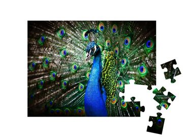 puzzleYOU Puzzle Porträt eines schönen Pfaus mit offenem Rad, 48 Puzzleteile, puzzleYOU-Kollektionen Tiere, Pfauen, 100 Teile
