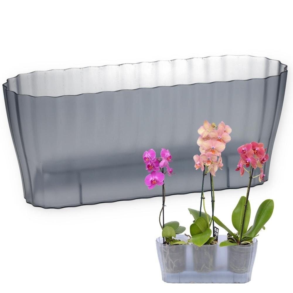 GarPet Blumentopf Orchideentopf Blumen Kasten Übertopf günstig online kaufen