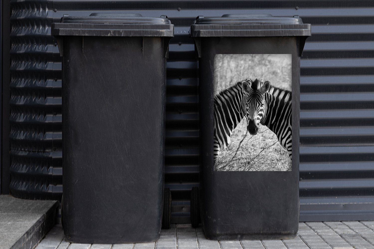 Zwei Mülltonne, Zebras St), Abfalbehälter Container, Mülleimer-aufkleber, Wandsticker (1 Sticker, MuchoWow