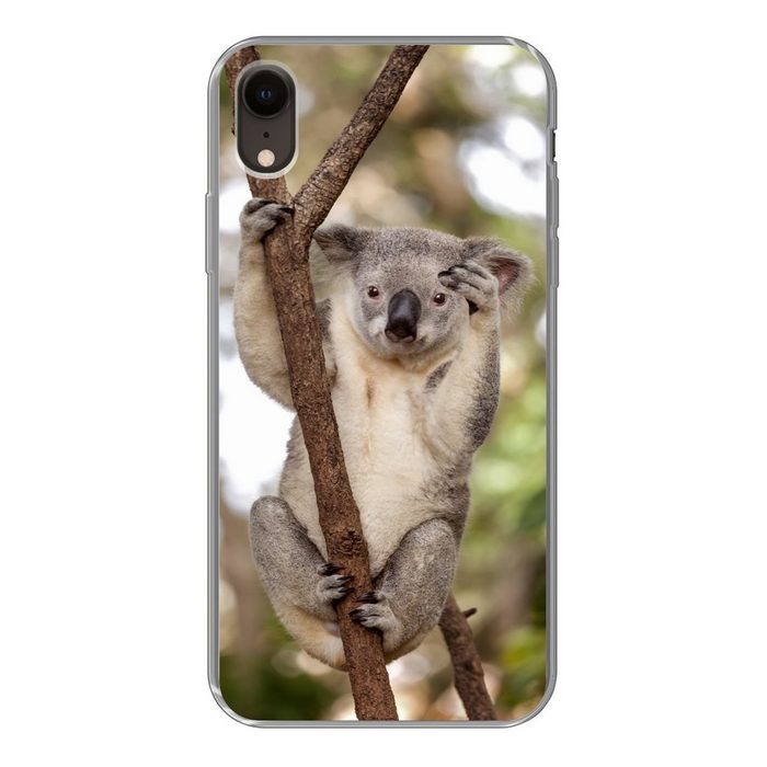 MuchoWow Handyhülle Koala - Äste - Tier - Kinder - Jungen - Mädchen Handyhülle Apple iPhone XR Smartphone-Bumper Print Handy
