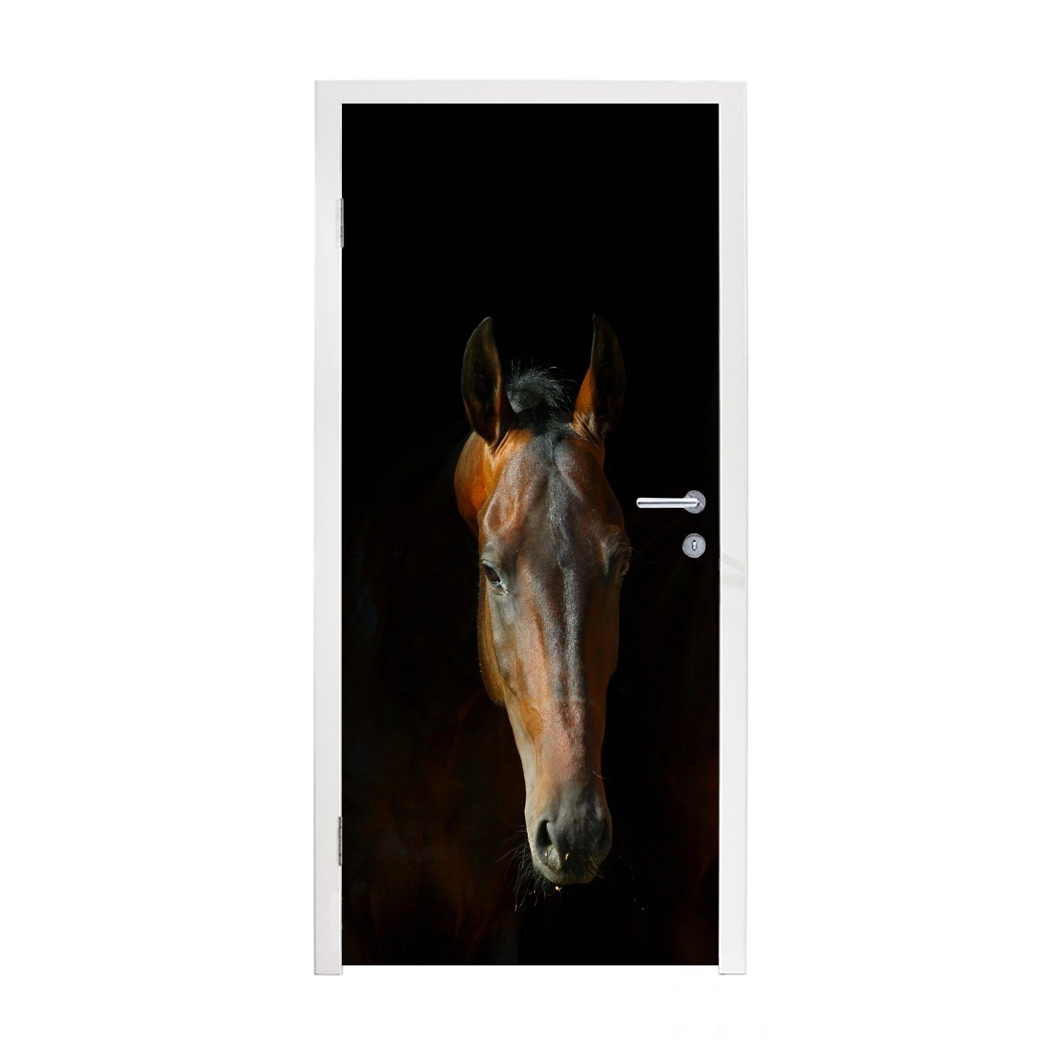 bedruckt, 75x205 - (1 - Türaufkleber, Fototapete Braun, Matt, Tiere Türtapete MuchoWow Tür, für St), cm Pferde