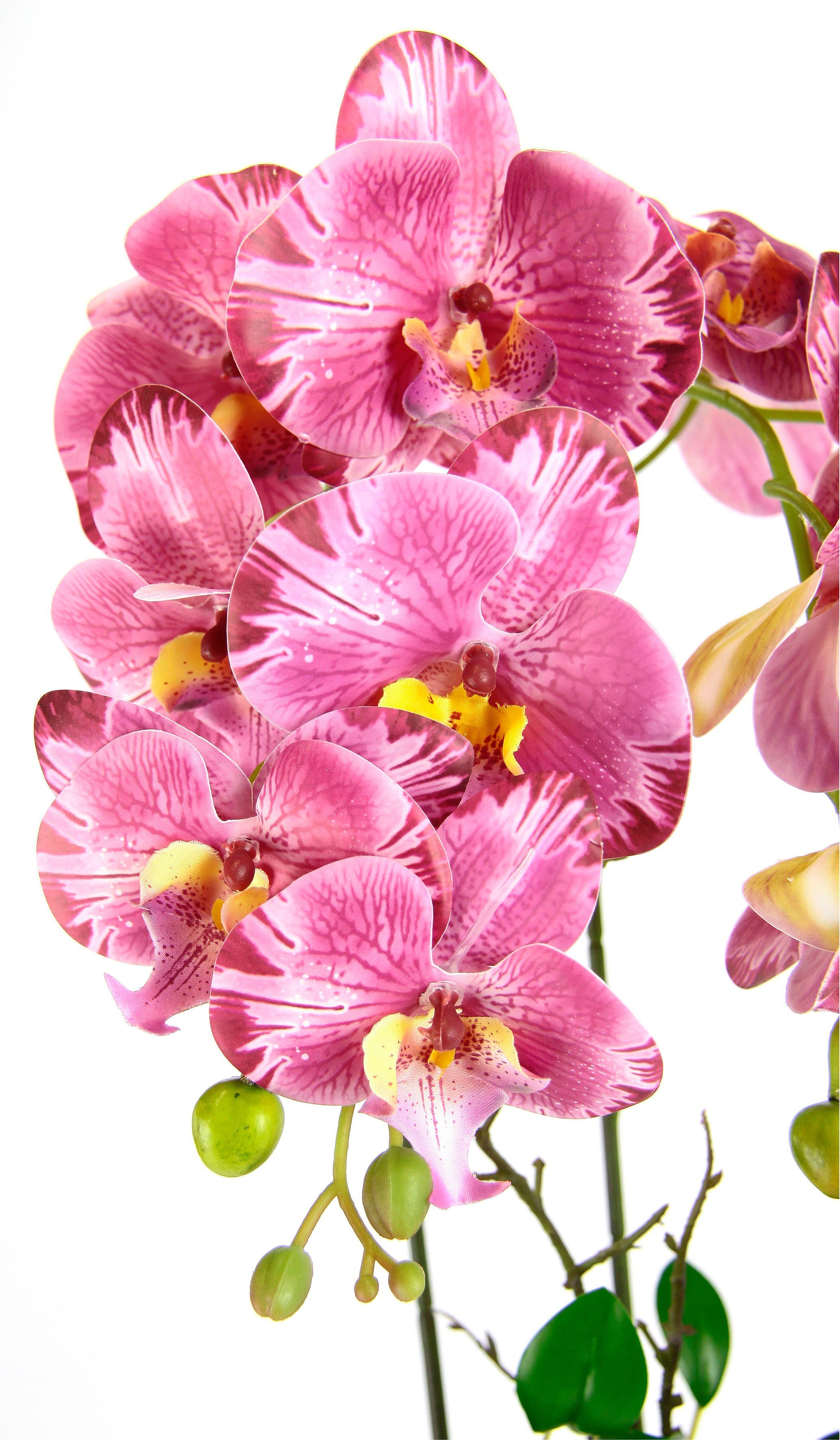I.GE.A. Kunstblume "Orchidee" Im Topf Phalaenopsis Orchidee Phalaenopsis mi günstig online kaufen