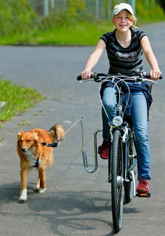 HEIM Fahrradleine, Metall, mit Fahrradhalter für Hunde bis 20 kg