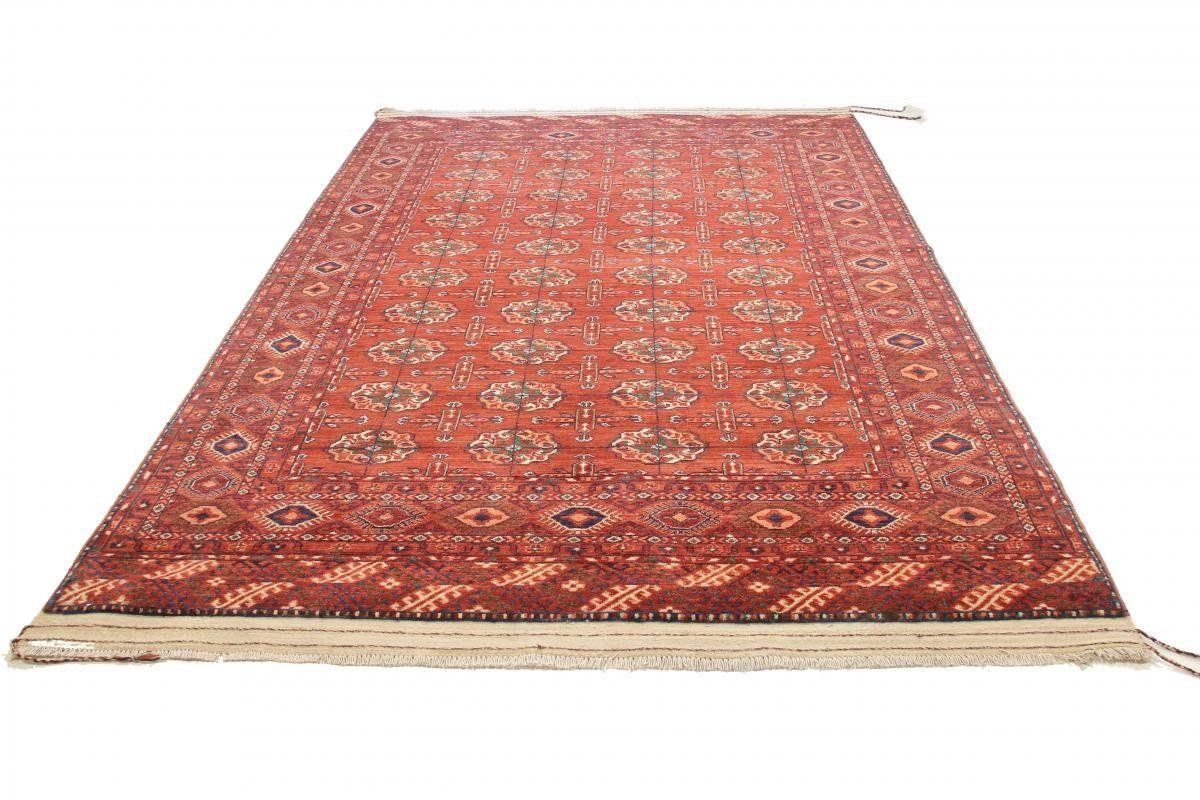 Orientteppich Turkaman Yamut Trading, mm Höhe: rechteckig, Nain Orientteppich, Handgeknüpfter 203x300 6