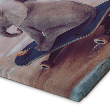 Posterlounge Leinwandbild Gen Z, Kleiner Elefant fährt Skateboard, Babyzimmer Maritim Fotografie