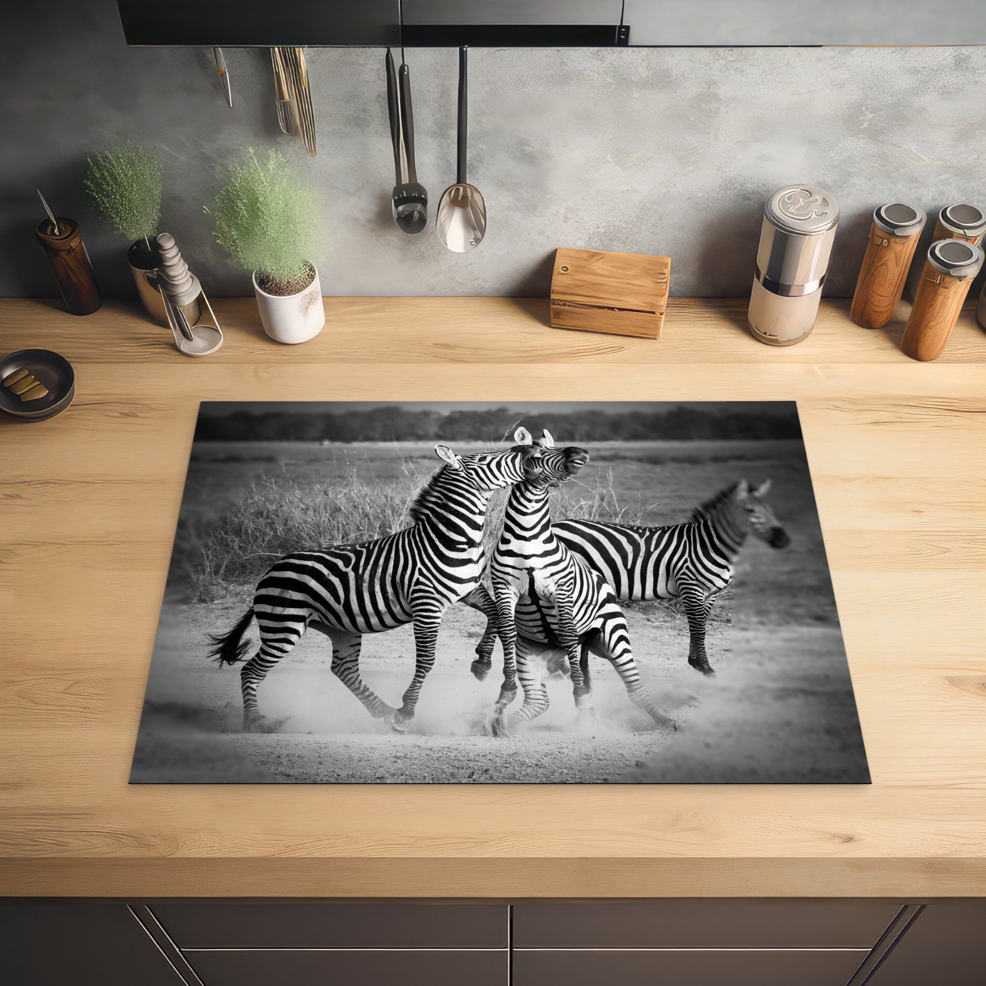 tlg), MuchoWow Zebras, Ceranfeldabdeckung Mobile Kämpfende cm, Arbeitsfläche nutzbar, 70x52 Vinyl, Herdblende-/Abdeckplatte (1