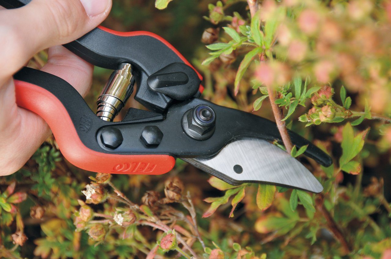 Felco Astschere FELCO 160 S Einhand Baumschere Rebschere Gartenschere -  Modell für kleine Hände