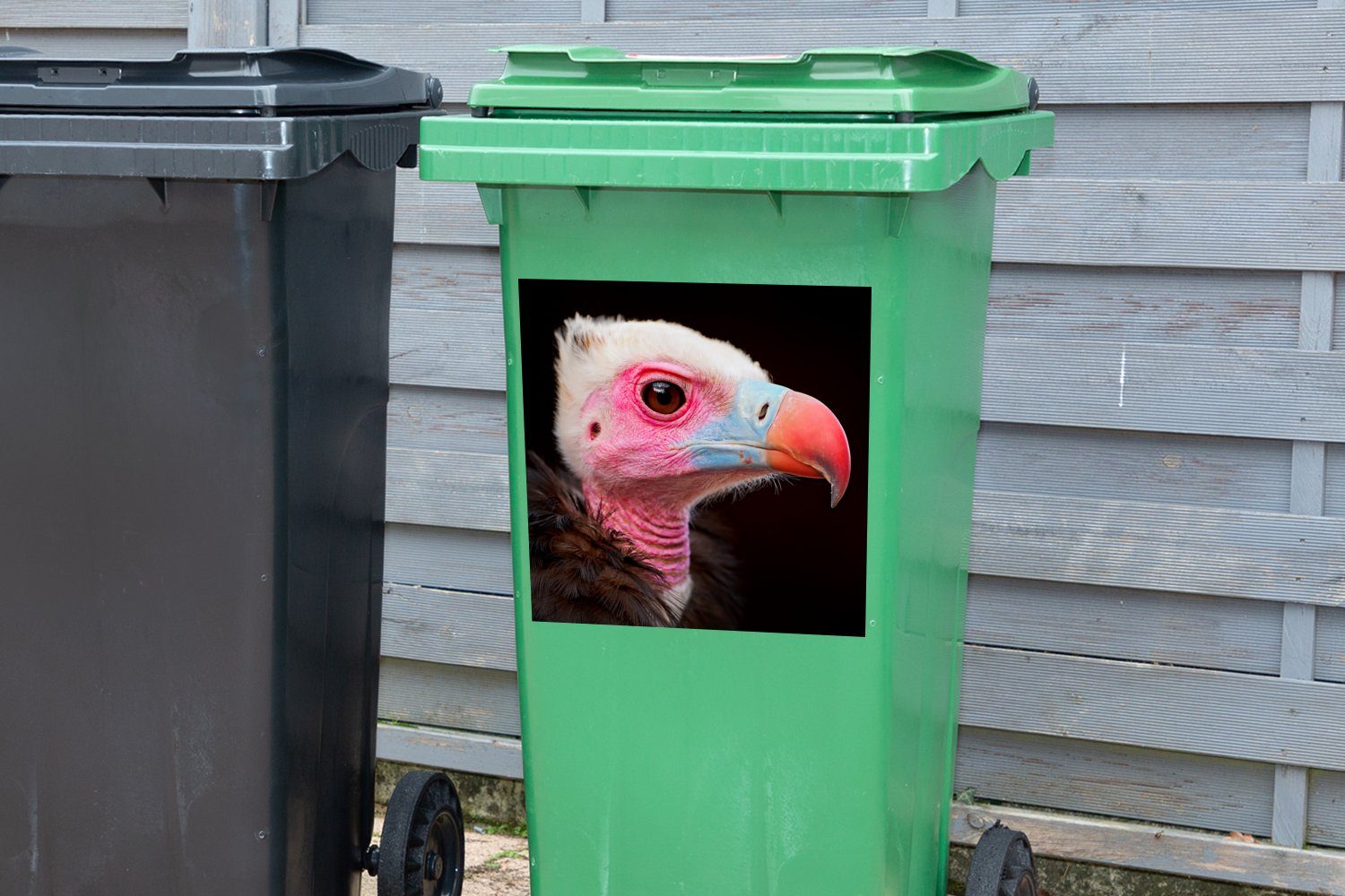 Wandsticker (1 Container, Mülltonne, Mülleimer-aufkleber, MuchoWow Vogel - Abfalbehälter - St), Sticker, Geier Schnabel