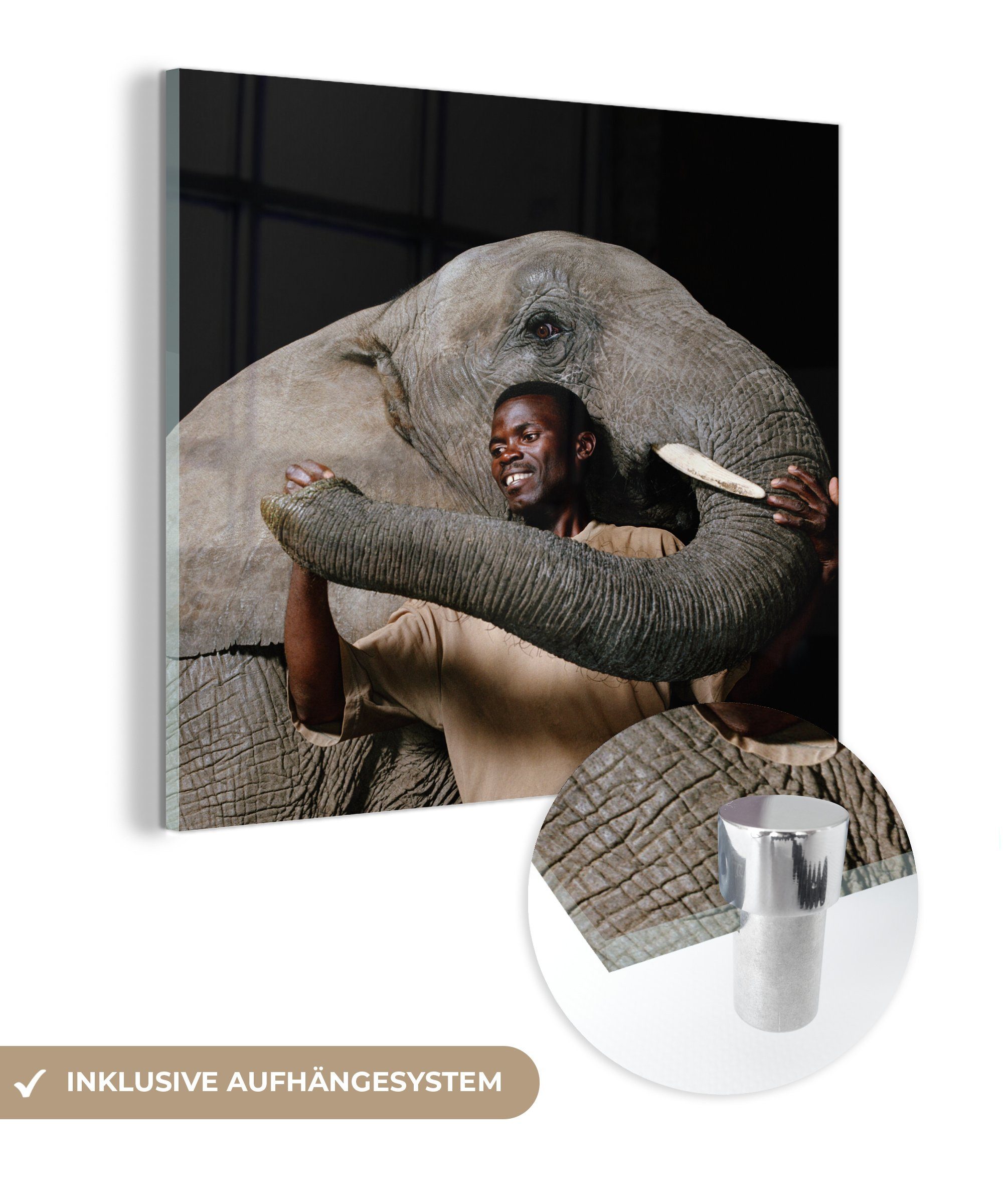 ungeheuer MuchoWow Acrylglasbild (1 - - - auf Glasbilder Foto - Bilder Wandbild - - auf Glas Schwarz, Tiere Wanddekoration Männlich St), Glas Elefant